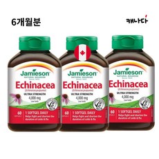 면역력증진 자메이슨 에키네시아 4000mg 6개월분, 3통, 60정