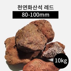 천연산호