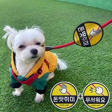 펫자수원데이서울