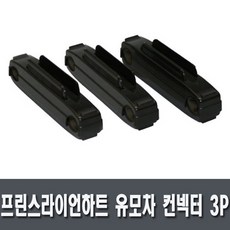 리안쌍둥이