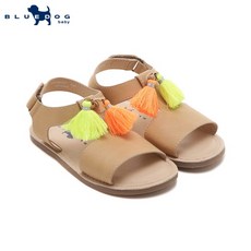블루독아쿠아슈즈