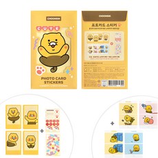 춘식이교통카드