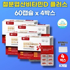 포뉴철분제