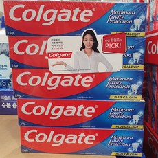 COLGATE 콜게이트 그레이트 레귤러 치약 250g x 5개 코스트코