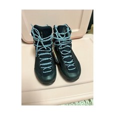 아크테릭스감마