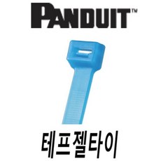 팬듀이트