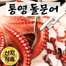 죽도문어