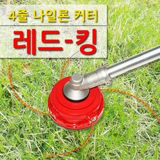레드킹