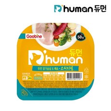 ai반려