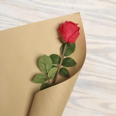 3b63012b4605605de947be9362e60f13a4e0b9b3cc206696e25b8ee70c9d.jpg