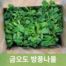 [신진농산] 여수 금오도 햇 방풍나물 1kg