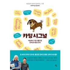 골든듀블루밍시그널