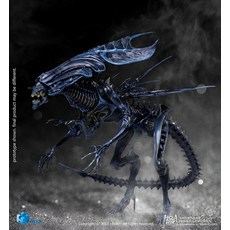 해외 영화 에일리언 디테일영화 에일리언 디테일 1/18 에일리언 팰컨 예약-25629, 01.이형황후가 예매한 총가격 00