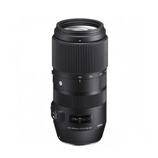 소니100-400