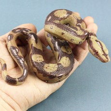 모형뱀