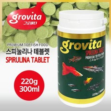 100×300유리타일