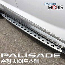 팰리세이드튜익스사이드스텝