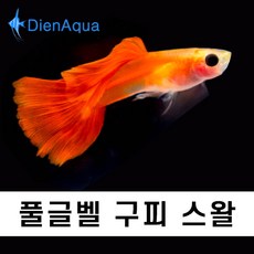 1506a4c7c7b538dd4884991870bb77044e92dbc8840696db8540d4da8e87.jpg