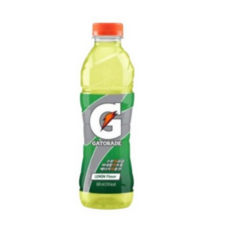 게토레이 레몬, 600ml, 6개