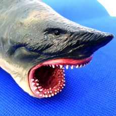 백상아리장난감