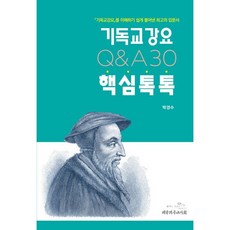 기독교 강요 핵심 톡톡 QA30-기독교강요를 이해하기 쉽게 풀어낸 입문서