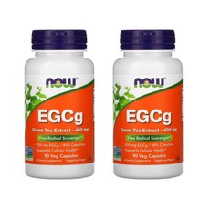 카멜리아시넨시스