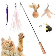 키트니 고양이 장난감 낚시대 + 낚시줄 + 깃털 리필 5종 세트, 2개