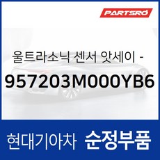 후방 충돌 경고 시스템(BWS) 앗세이 (957203M000YB6) 제네시스 BH, 1개