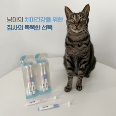 뚜또가또 초극세모 덴탈 칫솔/구강관리/클린칫솔, 1개