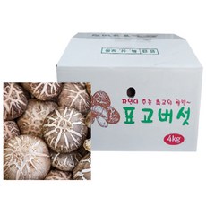 생표고버섯 물 효능 문경 표고버섯 무농약 키우기 키트 산지직송 4kg