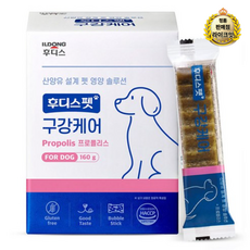 일동후디스 반려동물 후디스펫 스트레스케어 테아닌 160g, 치석제거, 1개, 비프맛