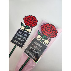 카네이션 한송이 꽃다발 감사 축하 꽃 자유문구 토퍼 제작, 머니홀더없음, 1개