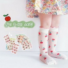 주니어망사양말