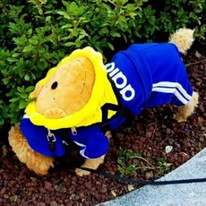 어흥이 강아지하네스 백팩 배낭 목줄 (S M L) (WB34A3B), 어흥이 강아지하네스 백팩 배낭 목줄 (S M L) (W, 1개