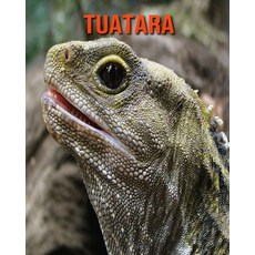 Tuatara: Fun Facts & Cool Pictures Paperback, Independently Published, English, 9798563105720