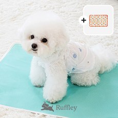 루플리 에코패드 대형 L 6장세트 빨아쓰는 배변패드 친환경 다회용 강아지 논슬립, 핑크 6장, L 일반형