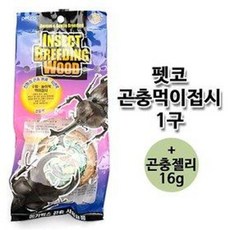 펫코 곤충 먹이접시1구 (곤충사육 사슴벌레 장수풍뎅, 1개