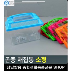 올챙이키우기