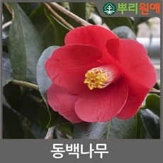 55fd8dcaaa294bc58d7ebe0c1d32ab4125fe4f8aa51f8d64e4ad65cc23d4.jpg
