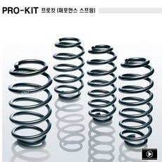 다이너스티다운스프링