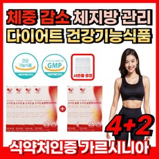 다이어트 건강기능식품 체중 BMI 피하지방 내장지방 체지방 감소 배설물 증가 탄수화물 지방 합성 억제 복부둘레 걱정 체지방 관리 가르시니아 캄보지아 HCA 비타민 셀레늄 더:익