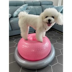  강아지 짐볼 코어 밸런스 슬개골 균형 밸런스볼 애견, 4 분홍색 