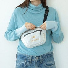 아크테릭스빔즈