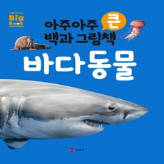 바다대백과사전