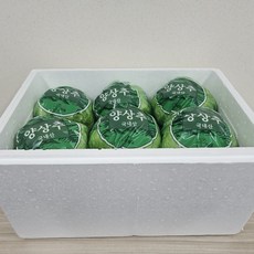즙오빠 양상추 12통 업소용 변비개선 다이어트효과 위장개선영양제 역류성식도염 영양제, 12개, 500g