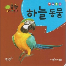 하늘 동물 -똑쟁 아기그림책 (보드북), 별똥별