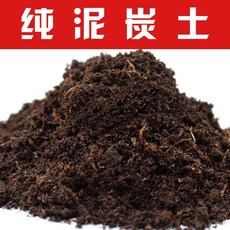 레이빈컴퍼니 에코백 순니탄토 그린 내추럴 부식토 영양토 블랙 꽃 키우기 심다 토화 토부엽 흙