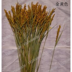 884df0747628ca979d9d15214c697a4f9533897978d7a6e7e41f1a0fa753.jpg