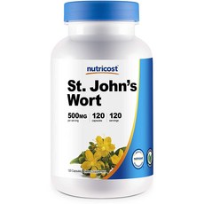 세인트코스트시계