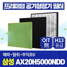 삼성블루스카이3000